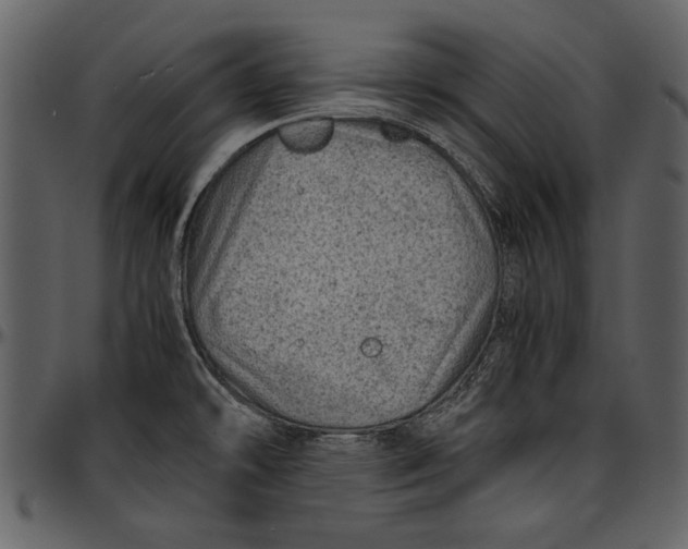 X0000096941478200802291020