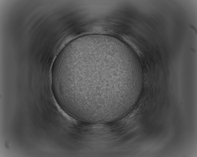 X0000096941479200802291020