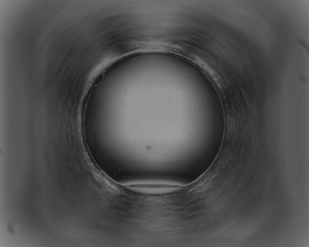 X0000096941480200802291020