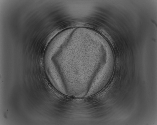 X0000096941481200802291020