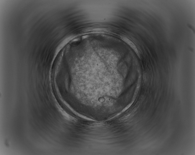 X0000096941482200802291020