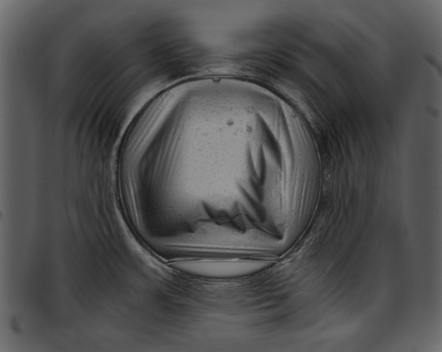 X0000096941483200802291020