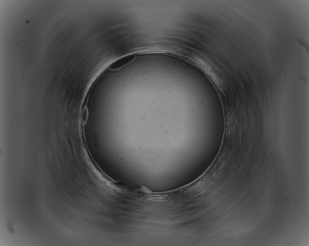 X0000096941484200802291020