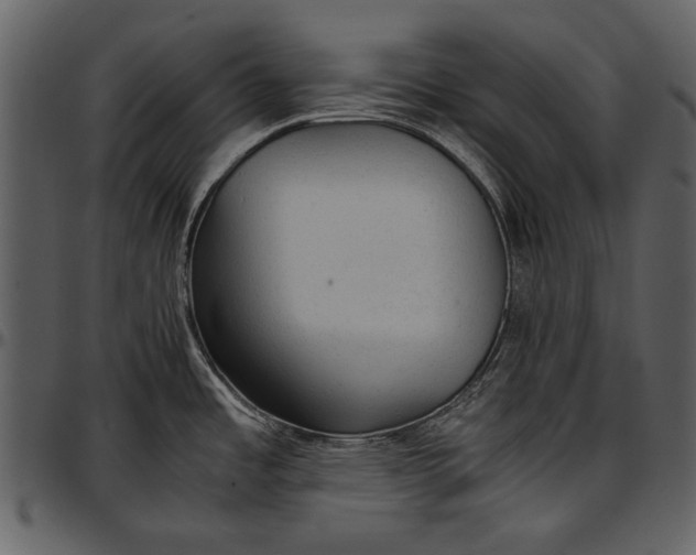 X0000096941485200802291020