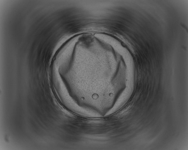 X0000096941486200802291020