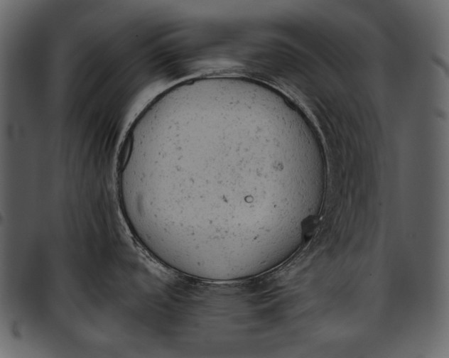 X0000096941488200802291020