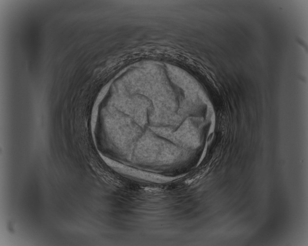 X0000096941489200802291020