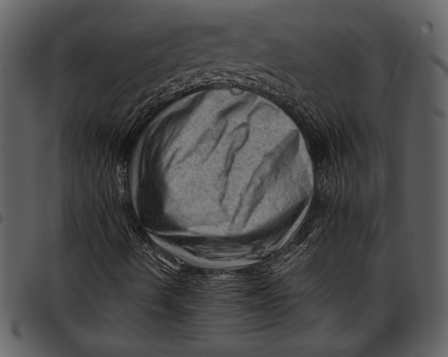 X0000096941490200802291020