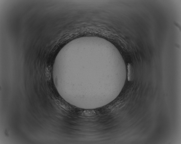 X0000096941491200802291020