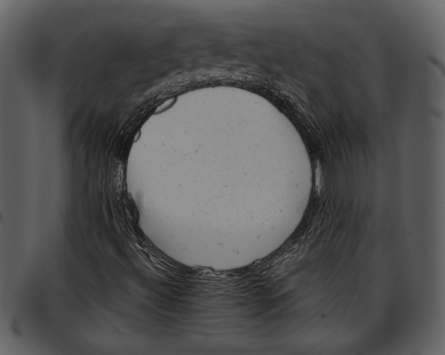 X0000096941492200802291020