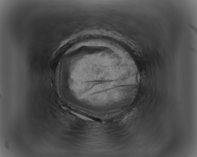 X0000096941494200802291020