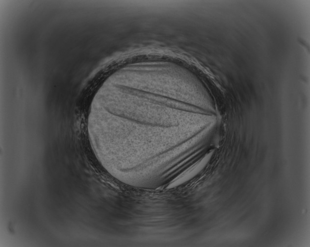 X0000096941495200802291020