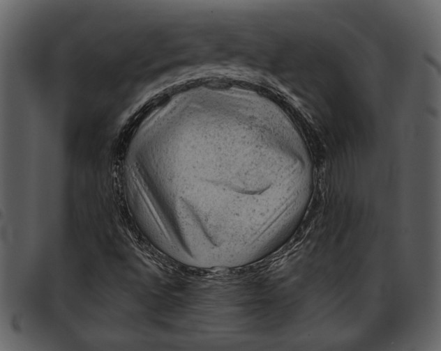 X0000096941496200802291020