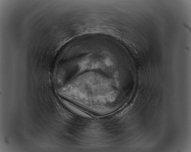 X0000096941497200802291020