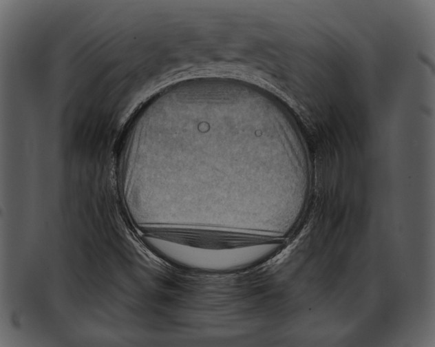 X0000096941498200802291020