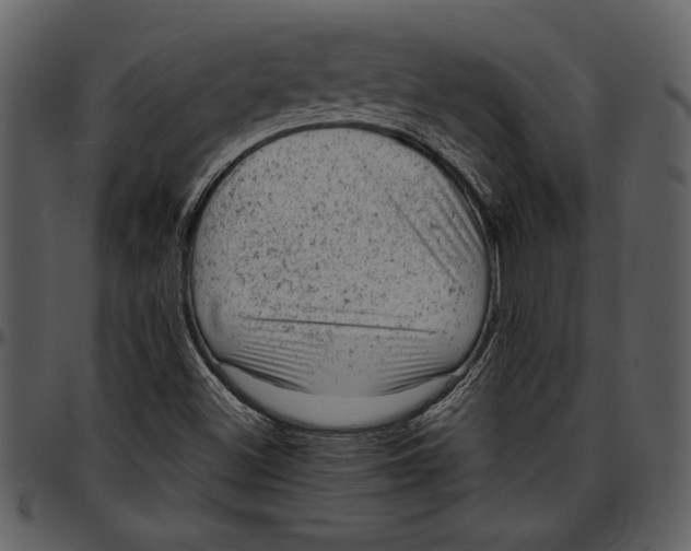 X0000096941500200802291020