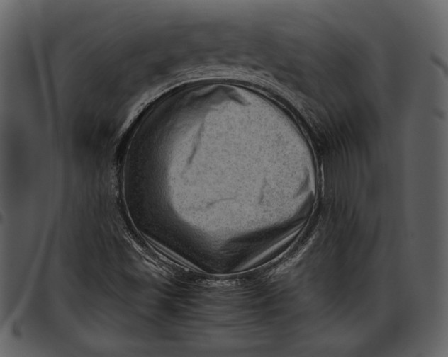 X0000096941501200802291020