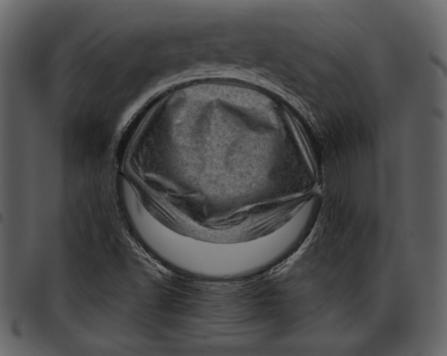 X0000096941502200802291020