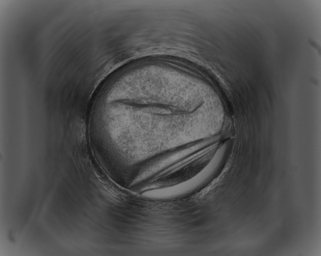 X0000096941505200802291020