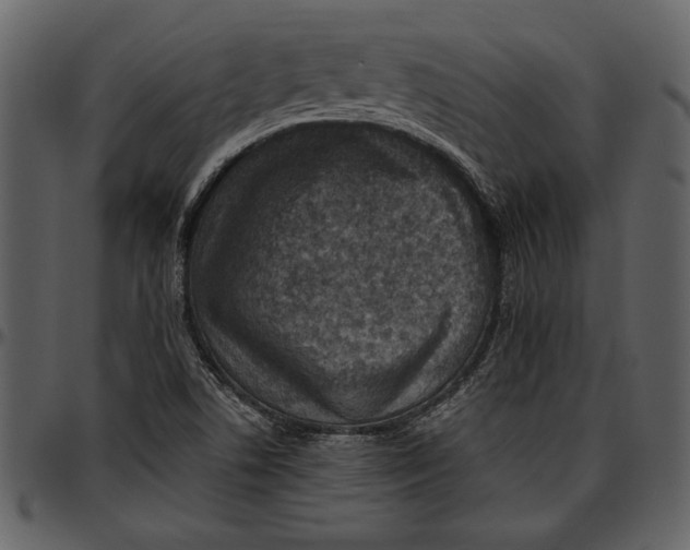 X0000096941506200802291020