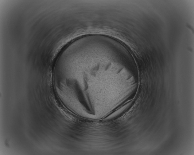 X0000096941507200802291020