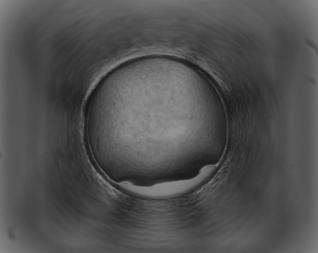 X0000096941508200802291020