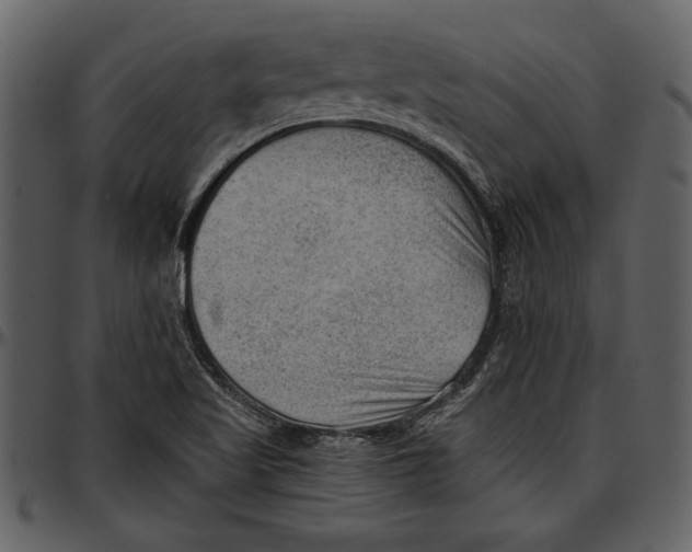 X0000096941509200802291020