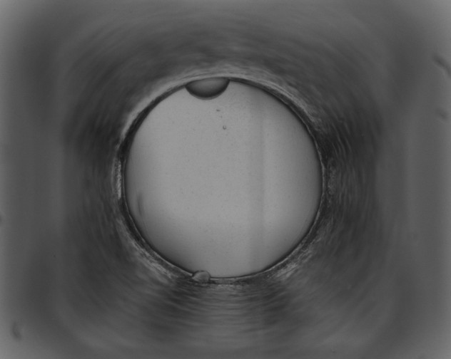 X0000096941510200802291020