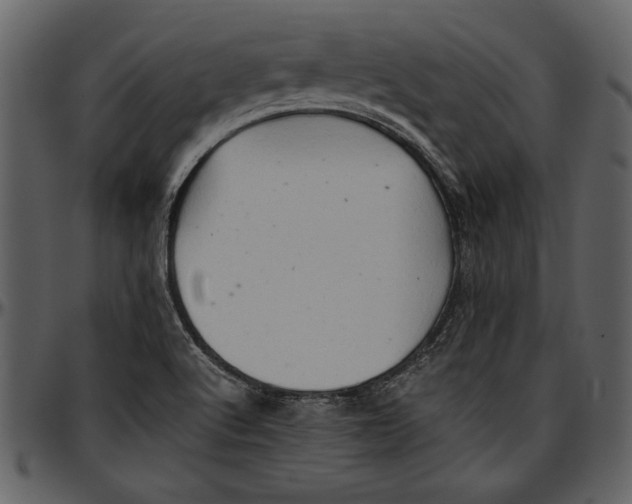 X0000096941512200802291020