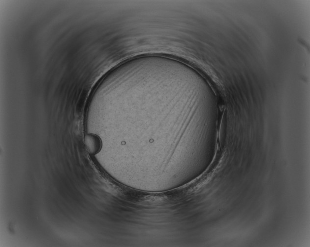 X0000096941513200802291020