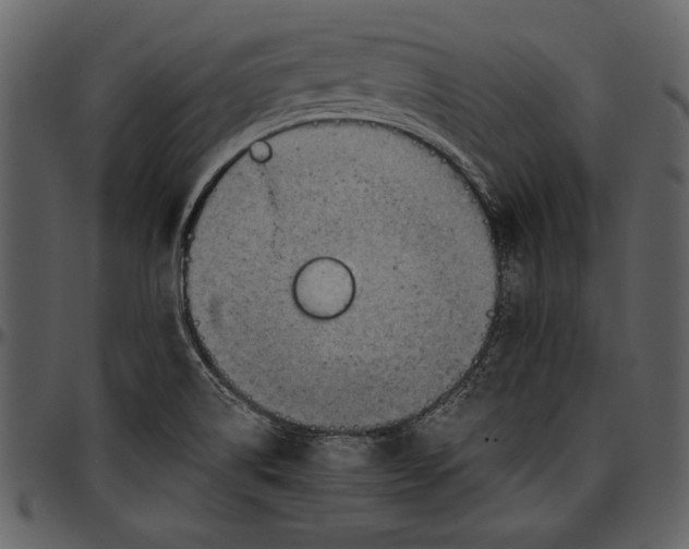 X0000096941514200802291020