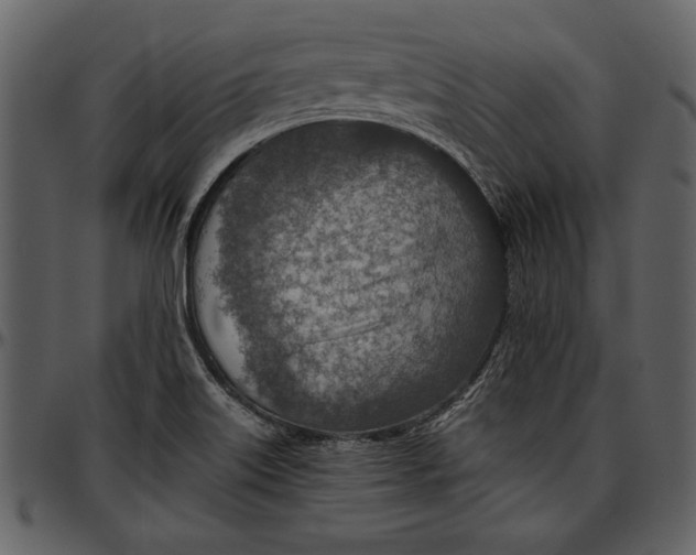 X0000096941515200802291020