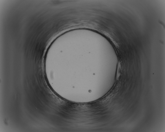 X0000096941516200802291020