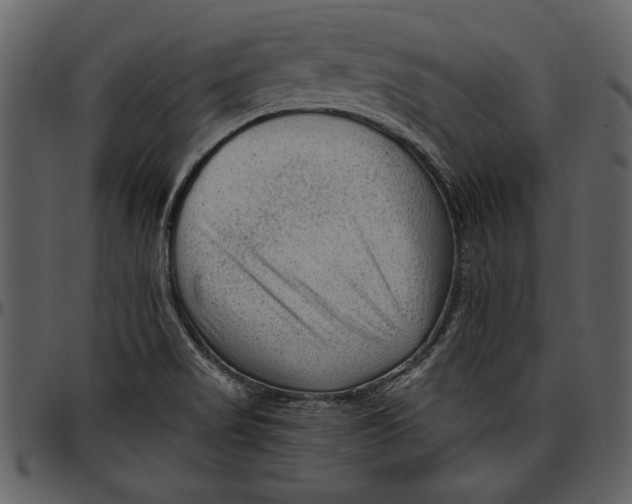 X0000096941517200802291020