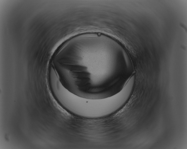 X0000096941518200802291020