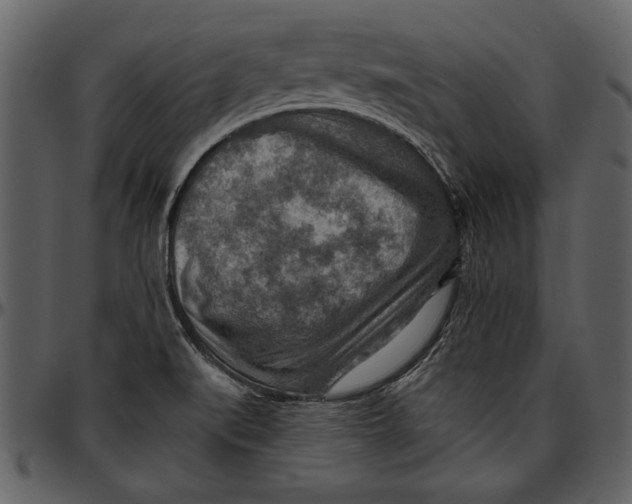 X0000096941519200802291020