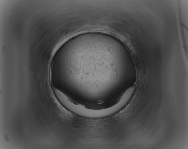 X0000096941520200802291020