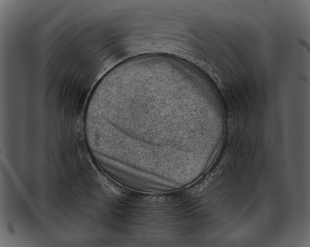 X0000096941521200802291020