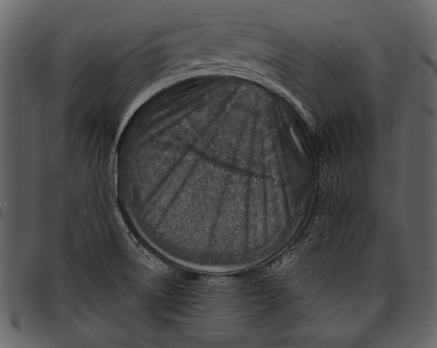 X0000096941522200802291020