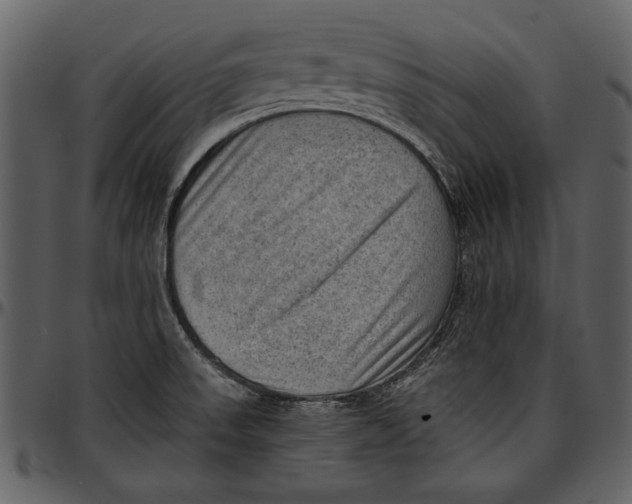 X0000096941523200802291020