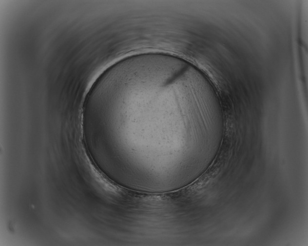 X0000096941524200802291020