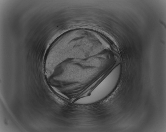 X0000096941525200802291020