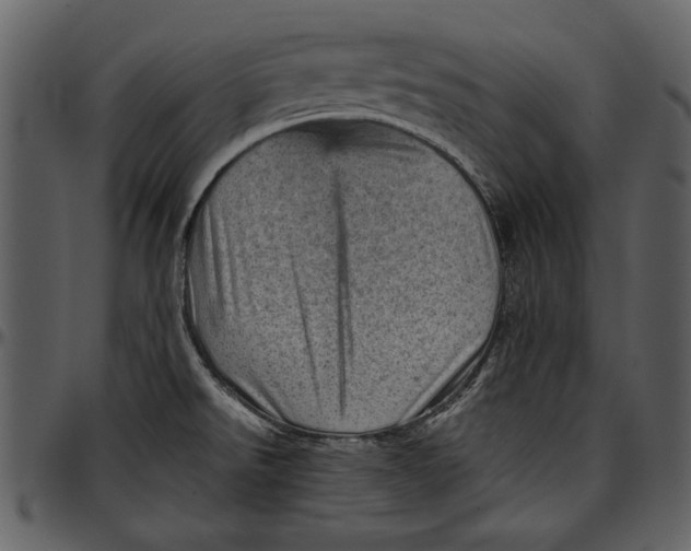 X0000096941526200802291020