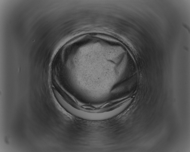 X0000096941528200802291020