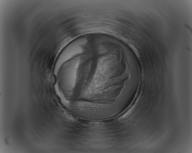 X0000096941529200802291020