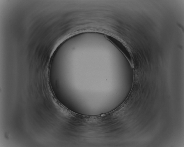 X0000096941530200802291020