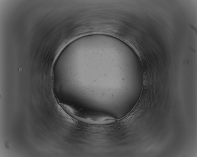 X0000096941532200802291020