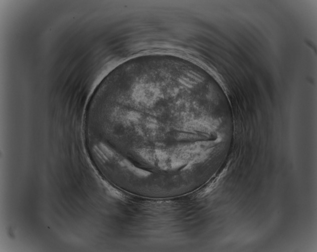 X0000096941533200802291020