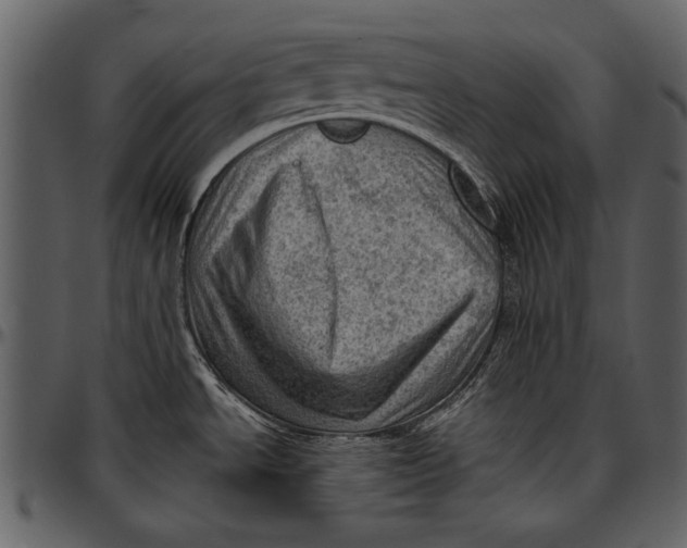 X0000096941534200802291020