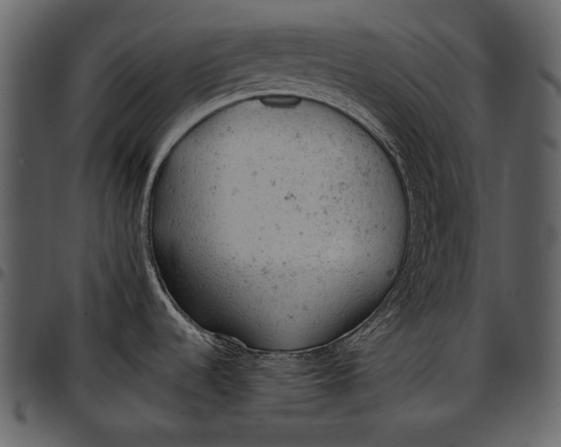 X0000096941536200802291020